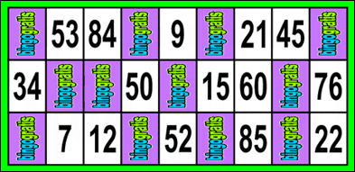 carton de bingo de 9x3 - 90 bolas